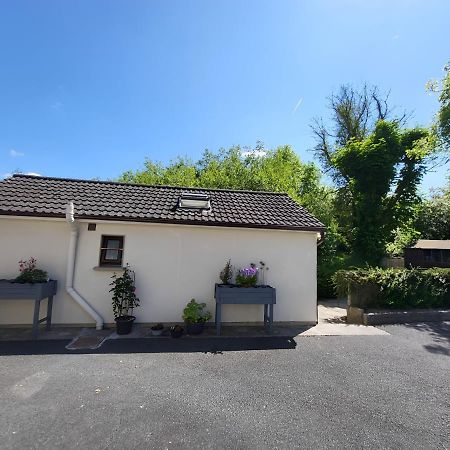 Oak Cottage 3 Km From Rock Of Cashel 캐셜 외부 사진