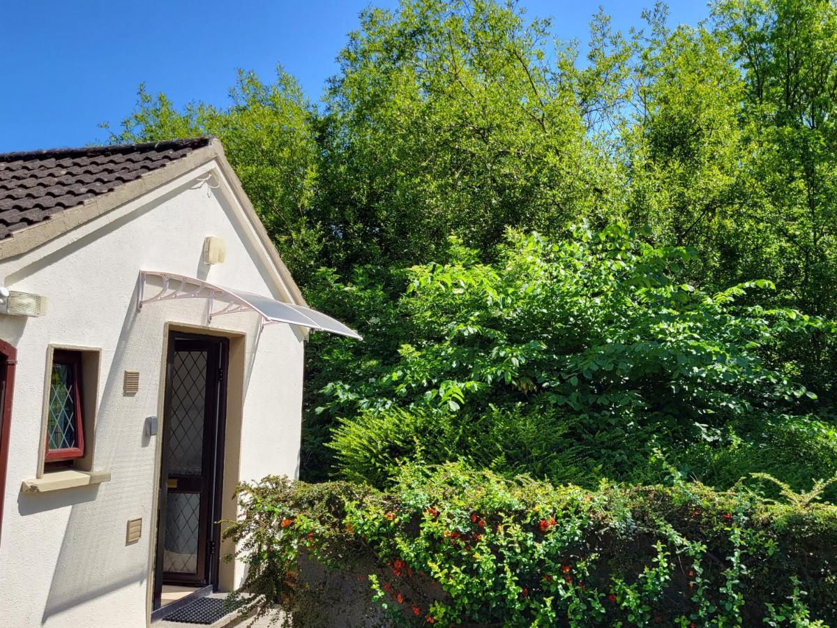 Oak Cottage 3 Km From Rock Of Cashel 캐셜 외부 사진