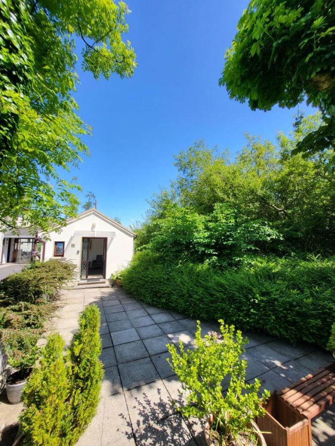 Oak Cottage 3 Km From Rock Of Cashel 캐셜 외부 사진