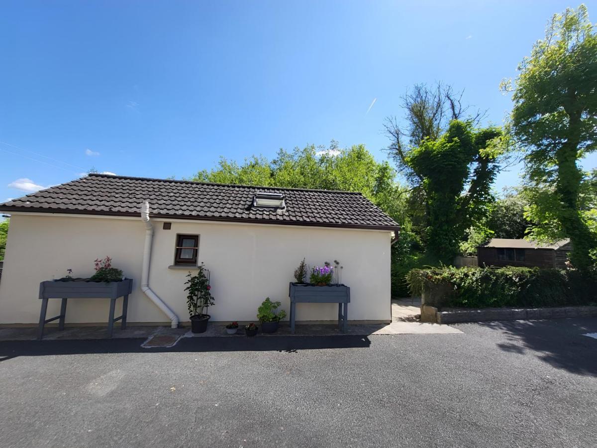Oak Cottage 3 Km From Rock Of Cashel 캐셜 외부 사진