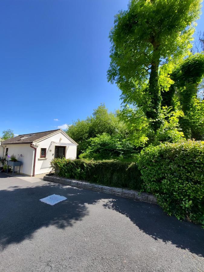 Oak Cottage 3 Km From Rock Of Cashel 캐셜 외부 사진