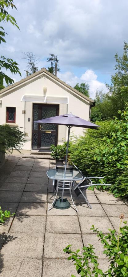 Oak Cottage 3 Km From Rock Of Cashel 캐셜 외부 사진